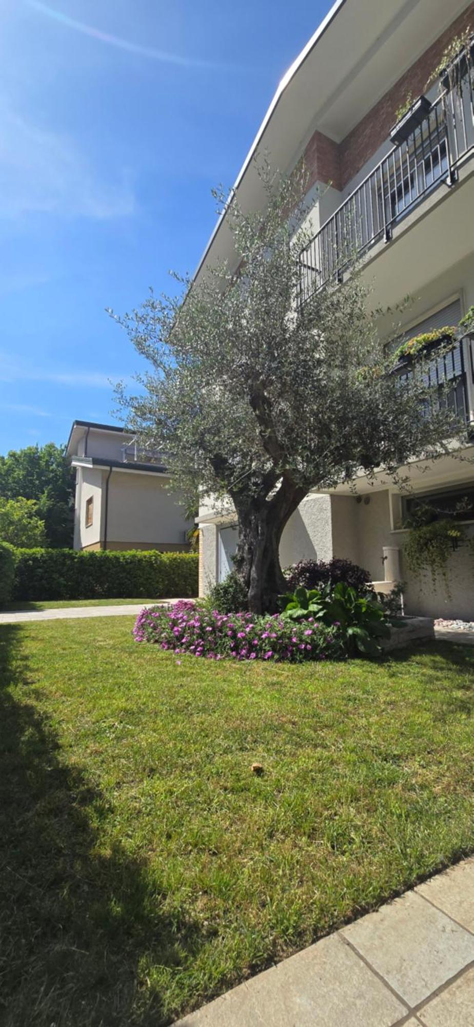 Ca' Olivo Villa Mogliano Veneto Buitenkant foto
