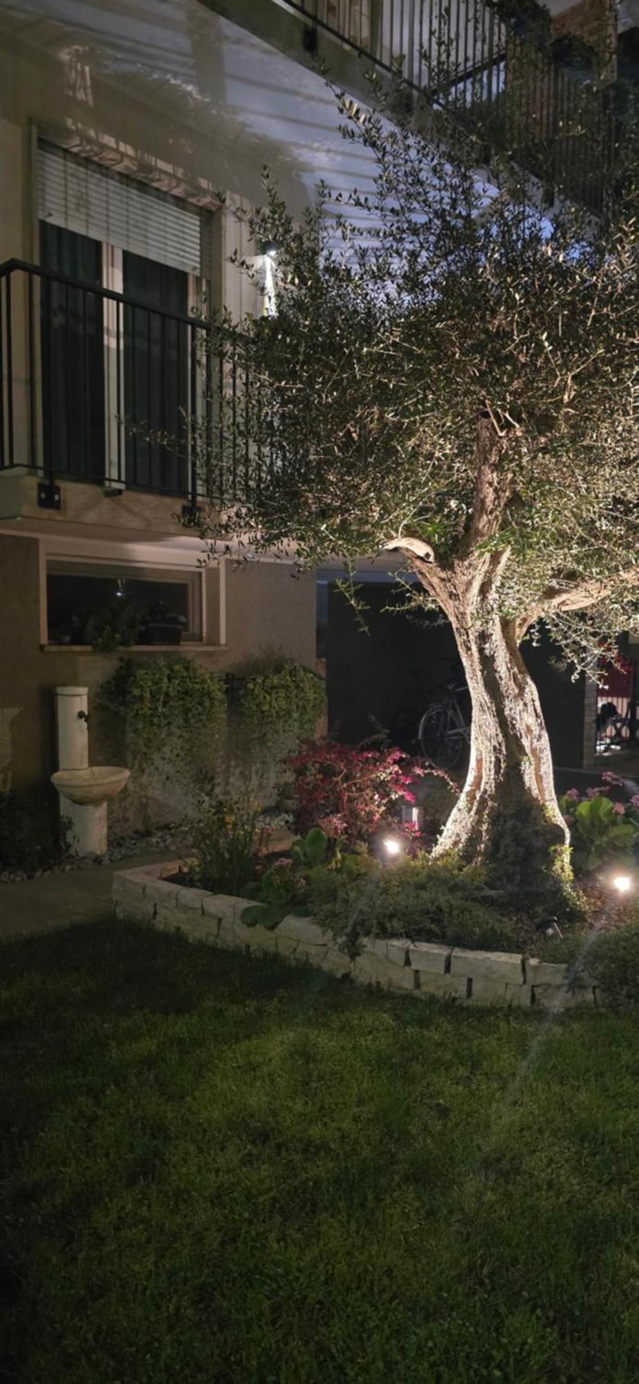 Ca' Olivo Villa Mogliano Veneto Buitenkant foto